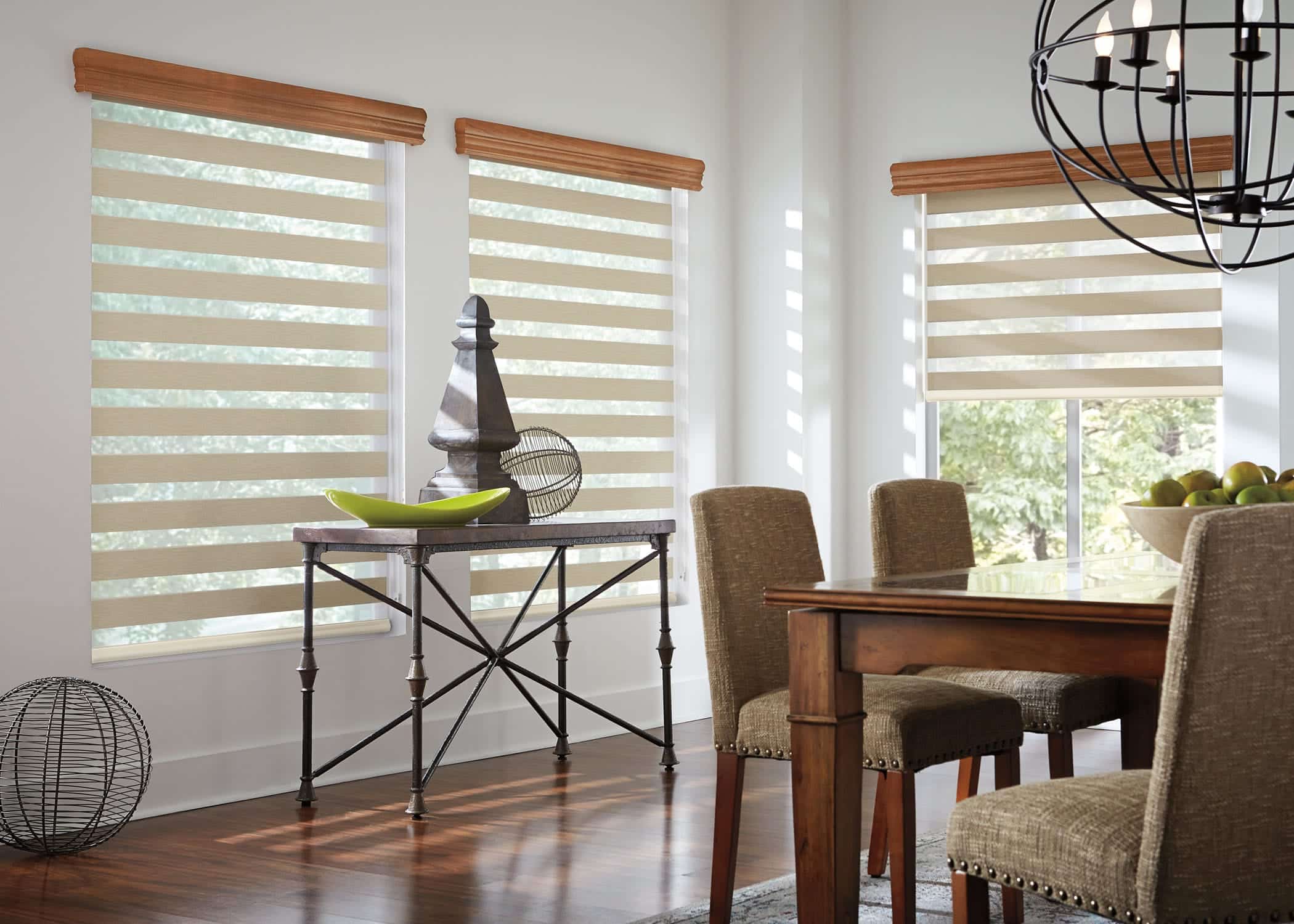 Zebra Blinds